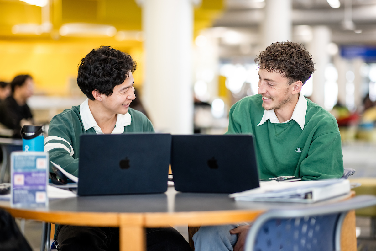Students studying at the library