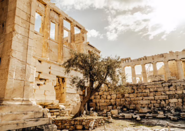 Building in Athens Greece in ruins with a tree in the middle