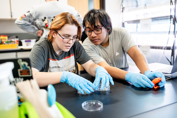 Two students examine a petri dish