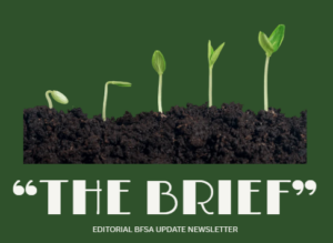Plants growing out of soil, with text beneath that says the brief