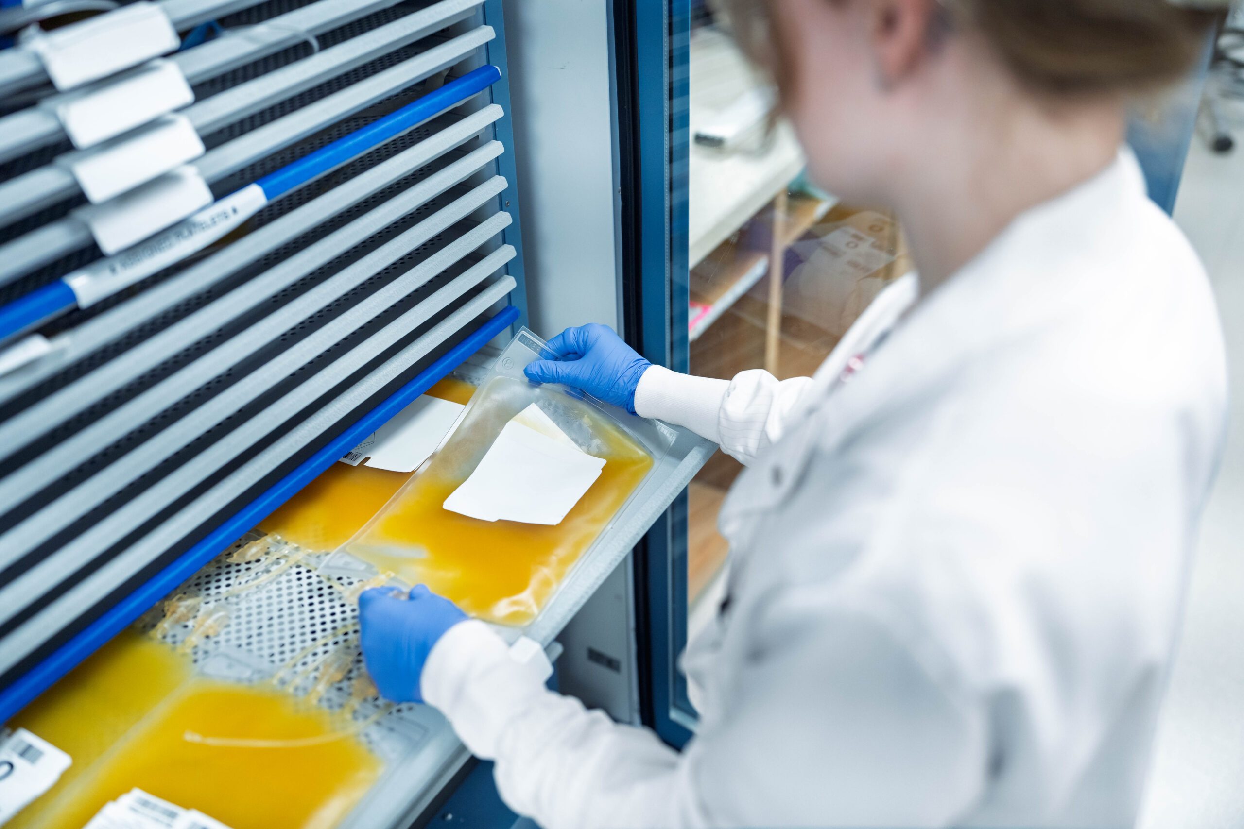 A scientist in blue gloves handling samples in a laboratory.