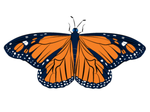 Graphic illustration of a monarch butterfly with vibrant orange, dark blue, and white-spotted wings spread wide.