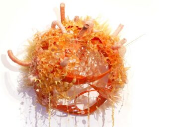 A vibrant orange spherical sculpture made of twisted and curled plastic materials, resembling coral, with tendrils extending outward against a white background.