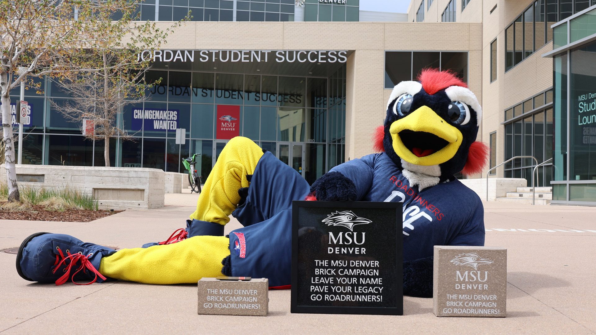Rowdy laying on the ground with three MSU Denver bricks for the Roadrunners Rise brick campaign in front of JSSB