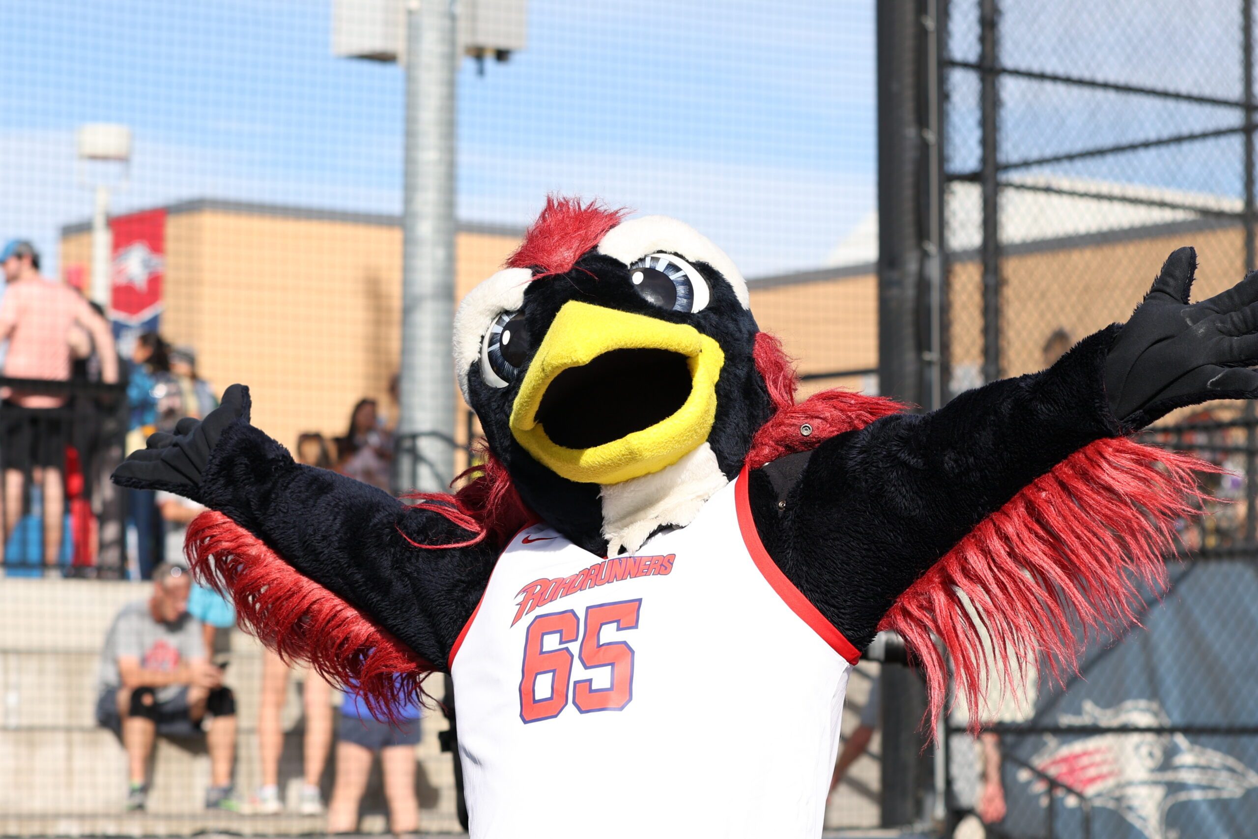 Rowdy celebrating the finish line of the 5k