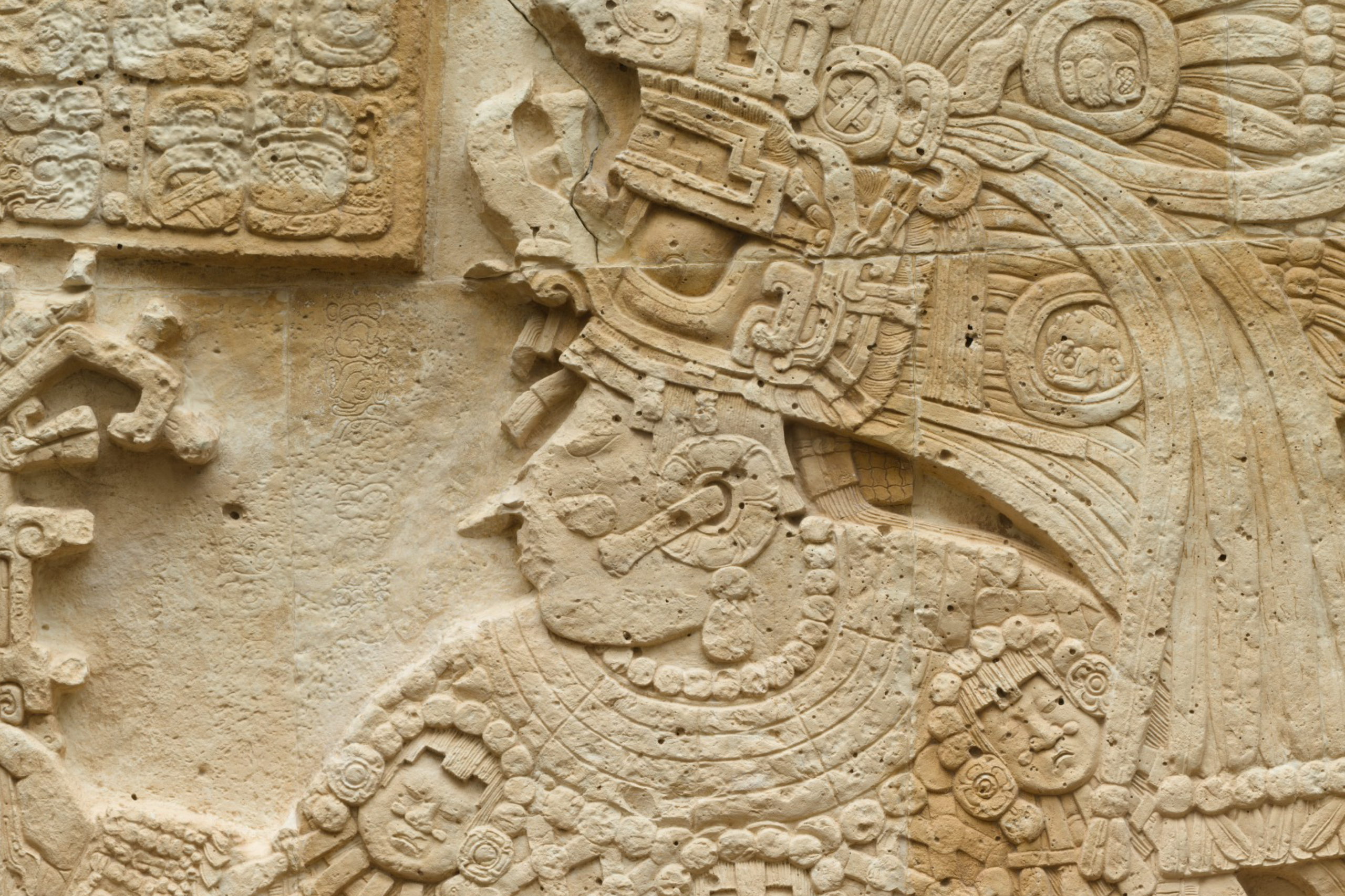 A close-up relief carving carved into beige stone depicts the side profile of a Maya figure facing toward the left, wearing an elaborate headdress and ornate regalia.