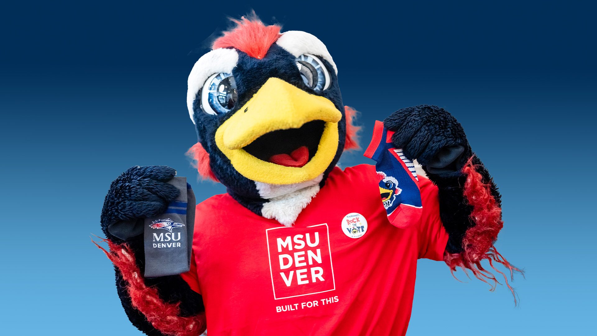 Rowdy holding this year's Socktober socks, a low-cut blue and red version with Rowdy's fact, and a gray business sock with red and blue stripes