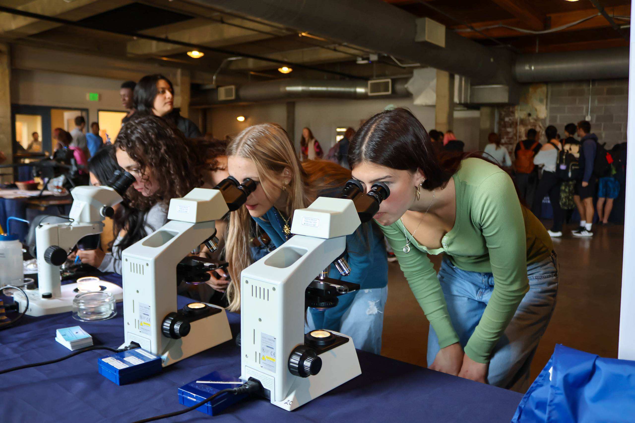 Looking at slides using a microscope.